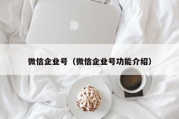 微信企业号（微信企业号功能介绍）