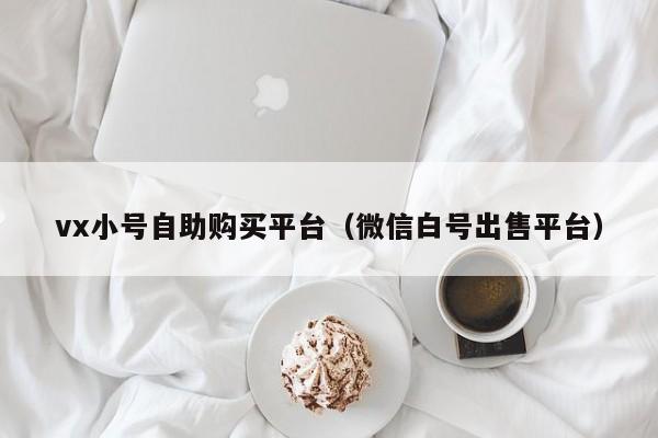 vx小号自助购买平台(微信白号出售平台)