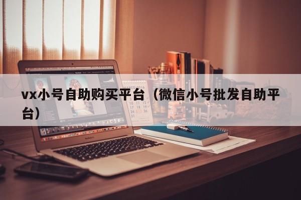 vx小号自助购买平台（微信小号批发自助平台）