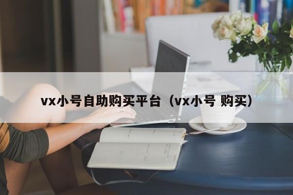 vx小号自助购买平台（vx小号 购买）