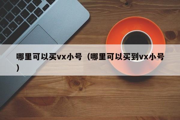 哪里可以买vx小号（哪里可以买到vx小号）