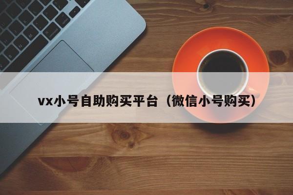 vx小号自助购买平台（微信小号购买）